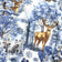 Katoenen stof - Kerstmis blauw landschap