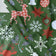Katoenen stof - Kerstsneeuwvlokken en rendieren, groen