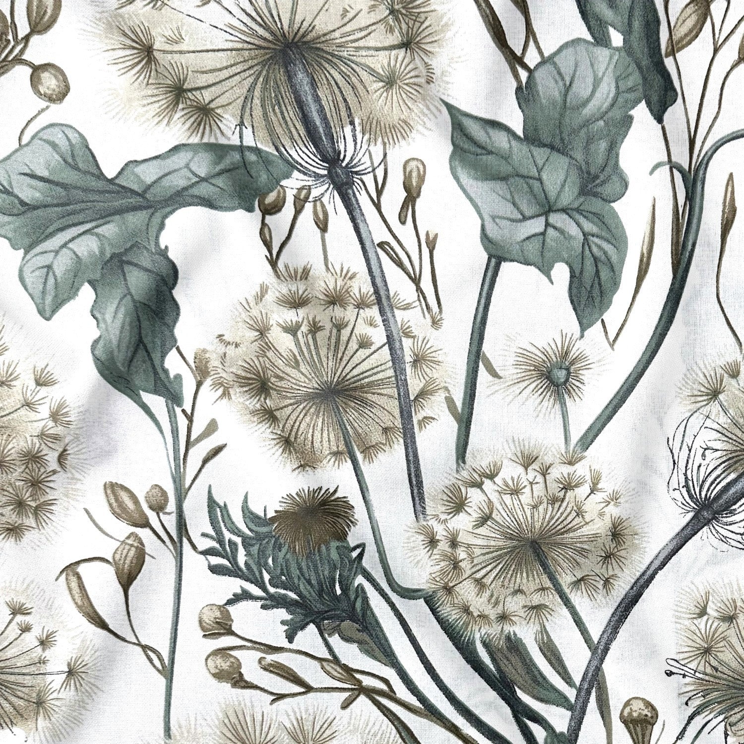Cotton Fabric - Dandelions, sage