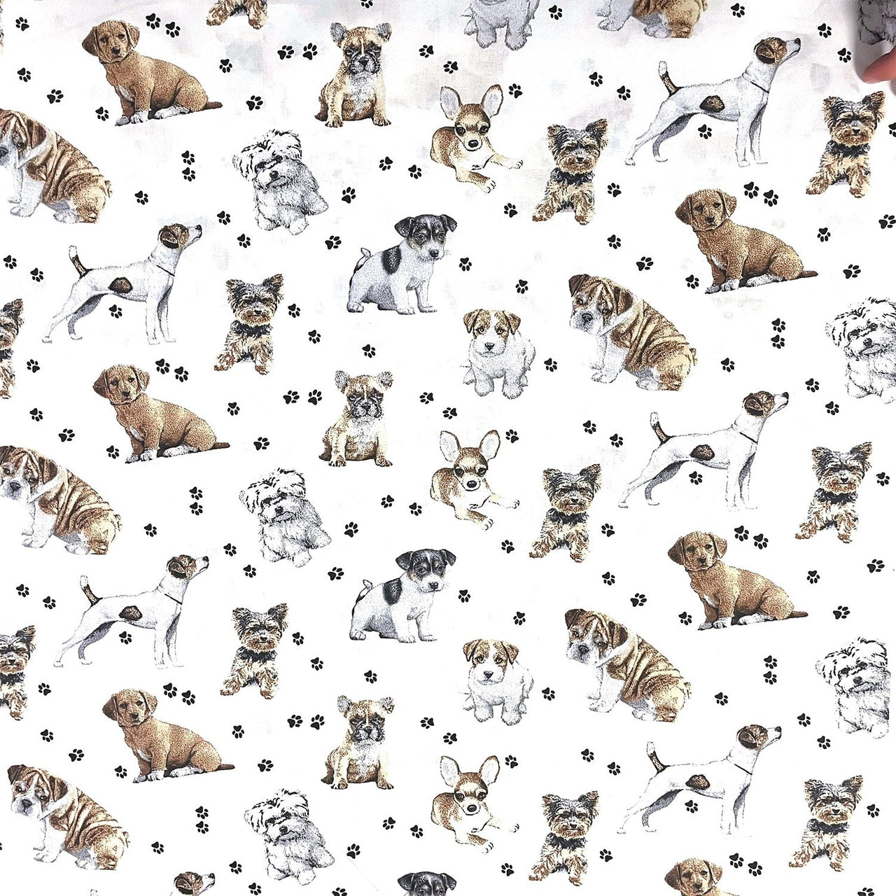 Cotton Fabric - Dogs Paws on White Background