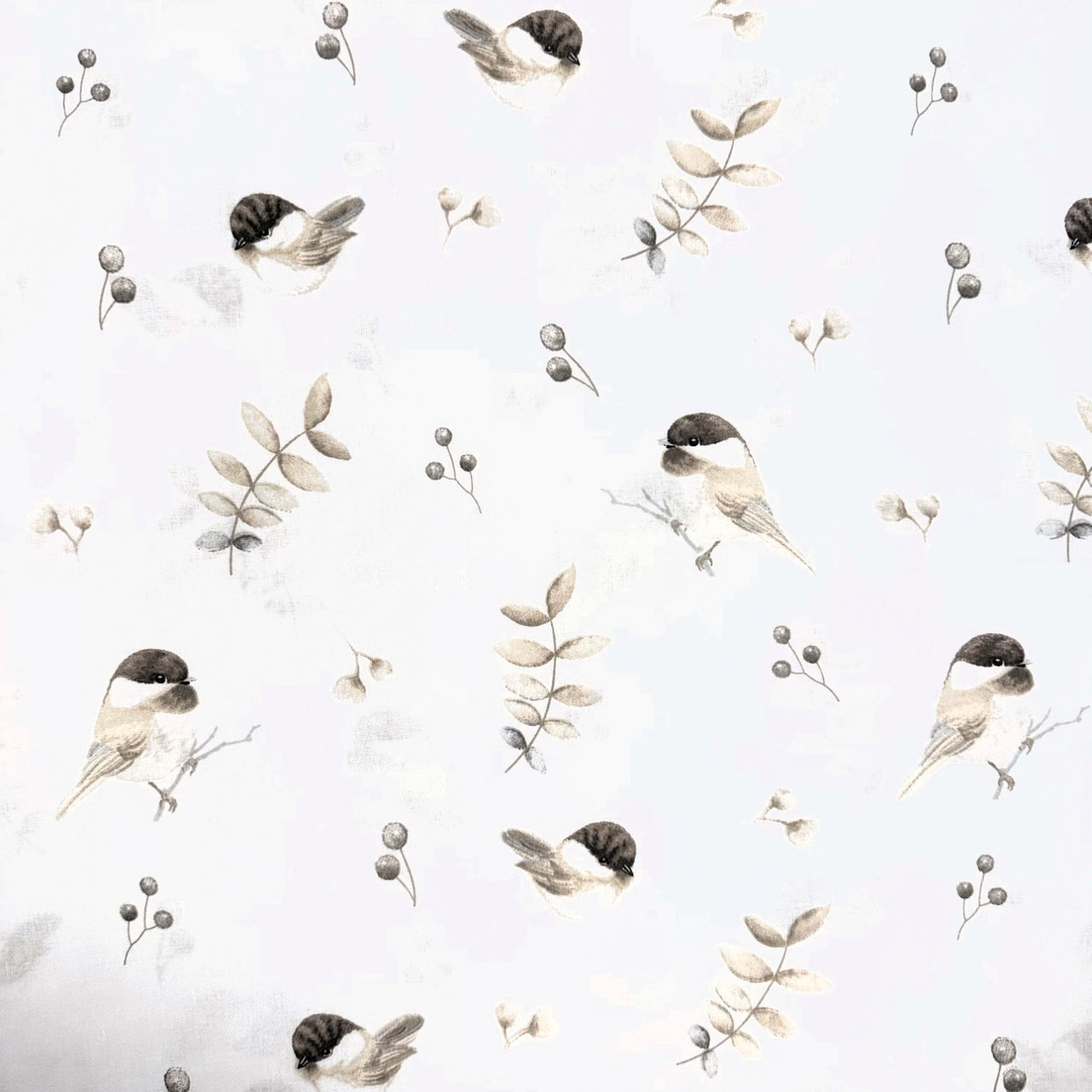 Cotton Fabric - Sparrow