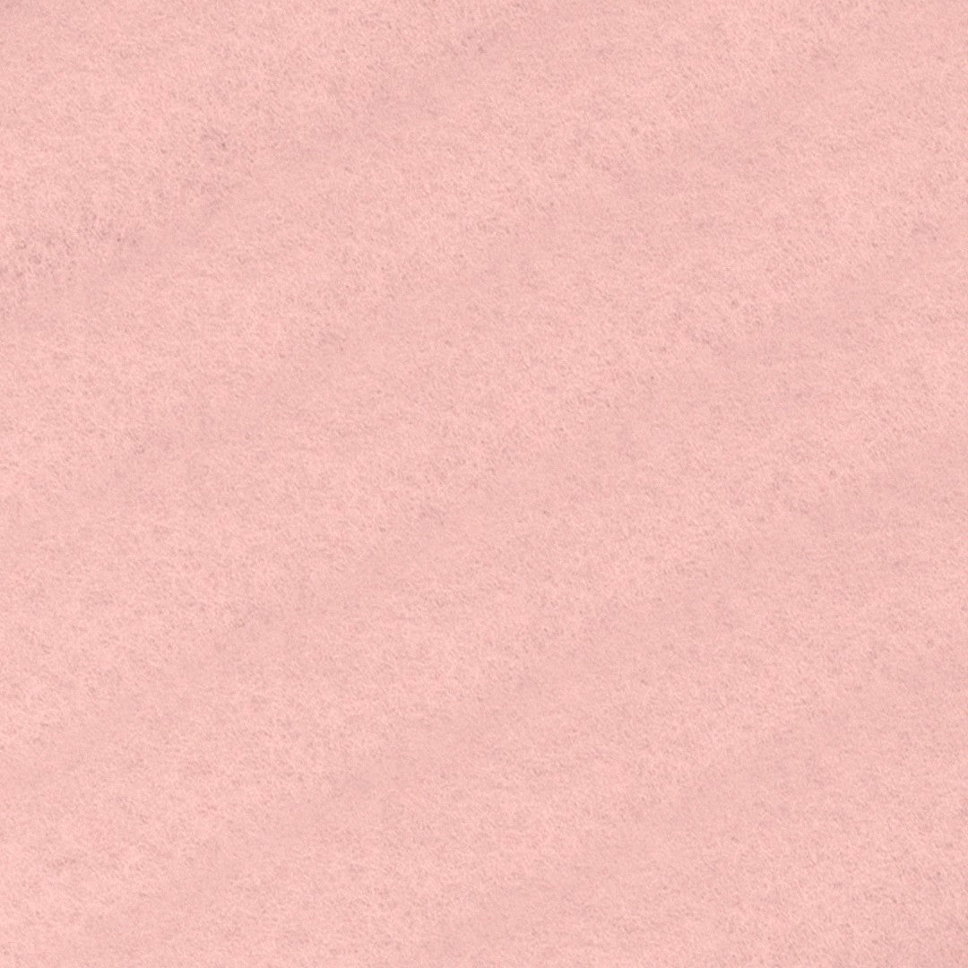 Thick Brushed Sweatshirt - Salmon pink